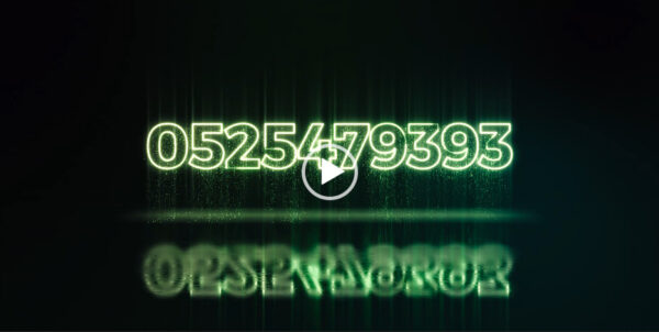 Quick Neon Logo Animation_1080p